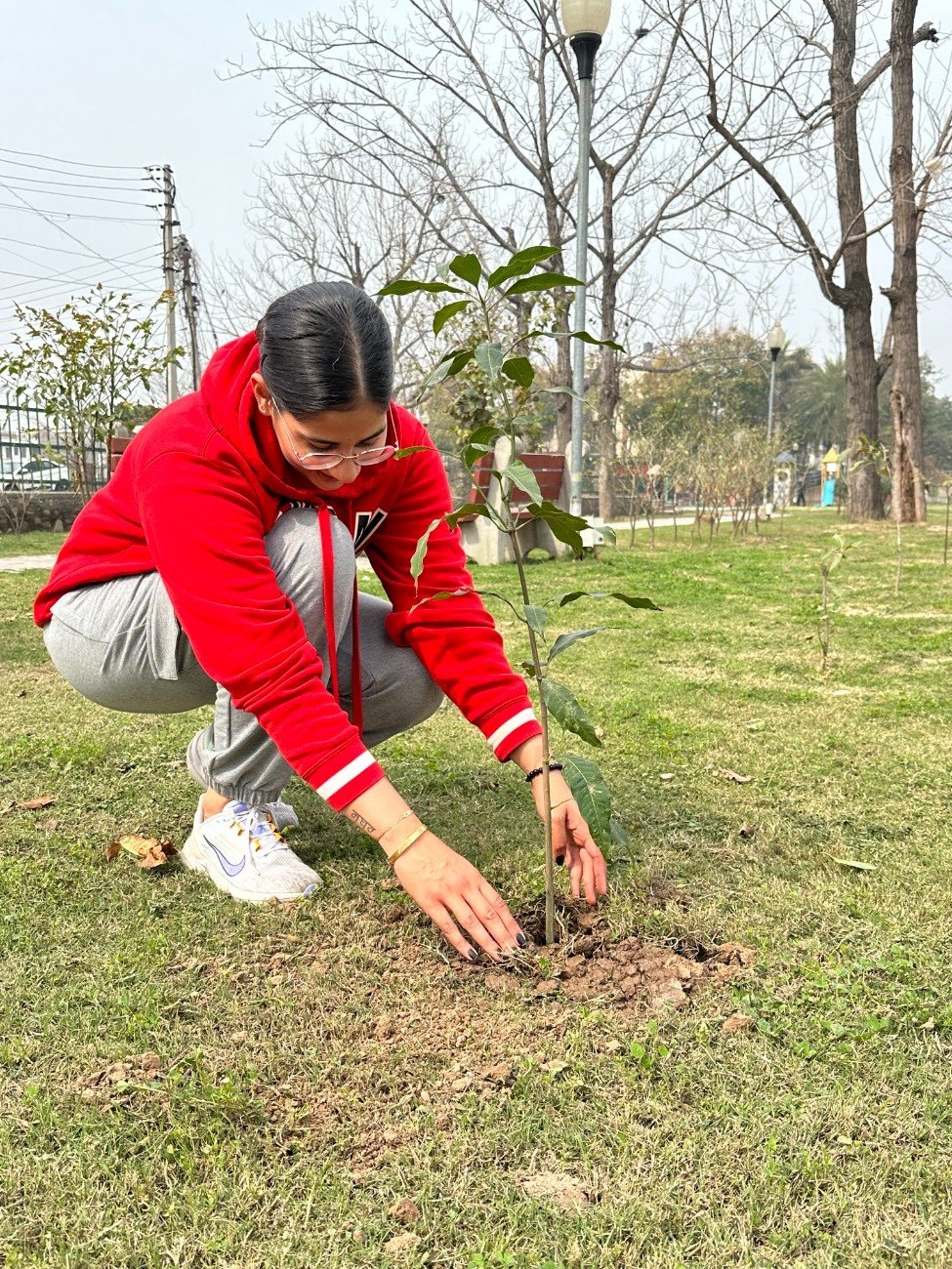 Mohali Plantation