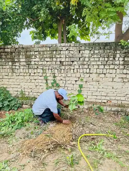 Plant A Promise in Jalandhar