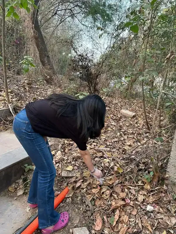 Cleanup in Chandigarh