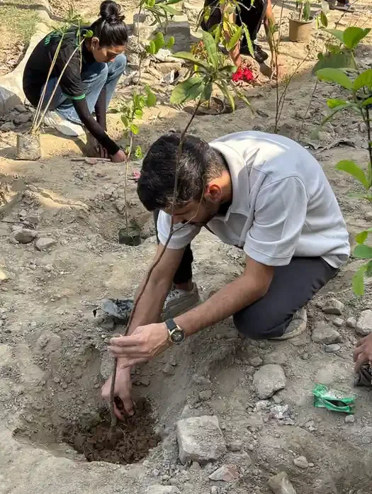 Plantation in Noida