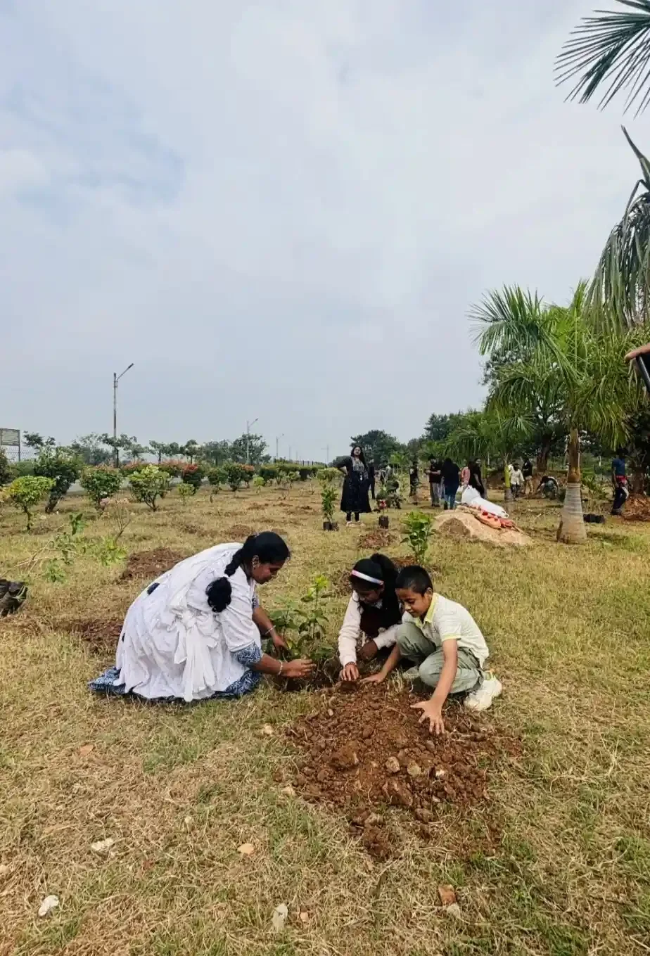 Plantation Drive
