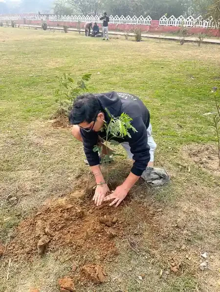 Tree Plantation Initiative