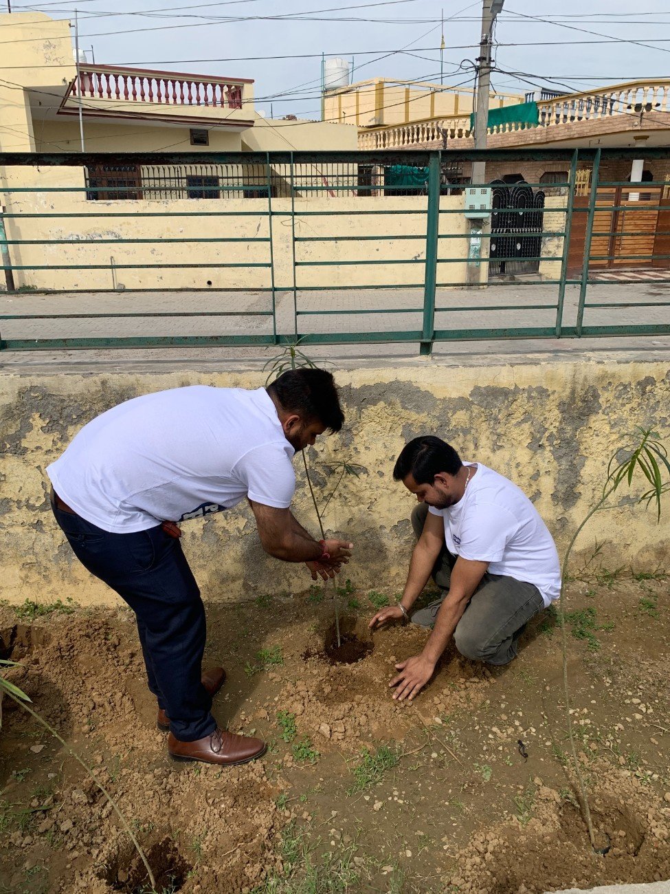 Plantation in Jalandhar