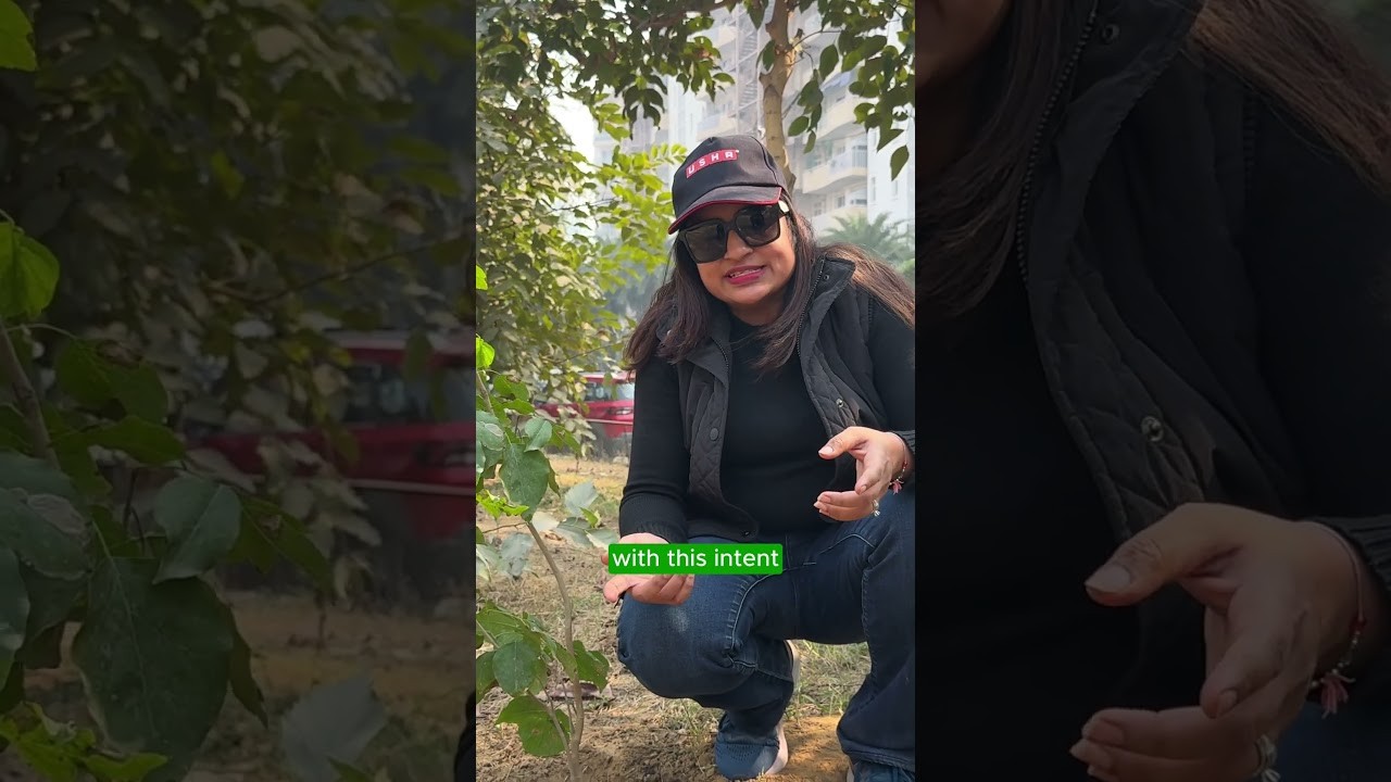 Thumbnail for Dipti Jalan video testimonial