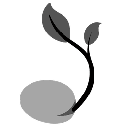 SEED BALL MAKING