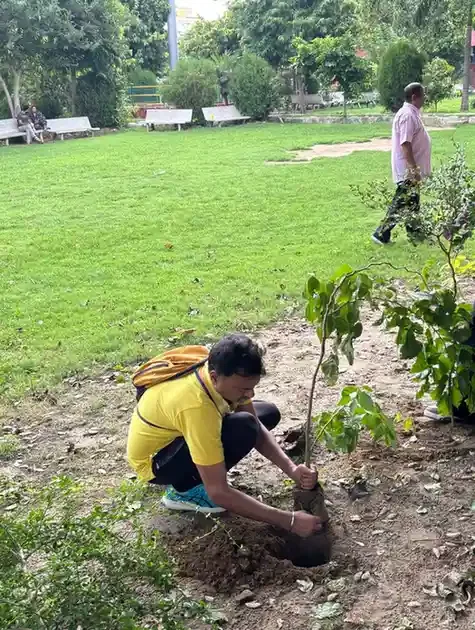 90 sapplings planted in Jaipur.