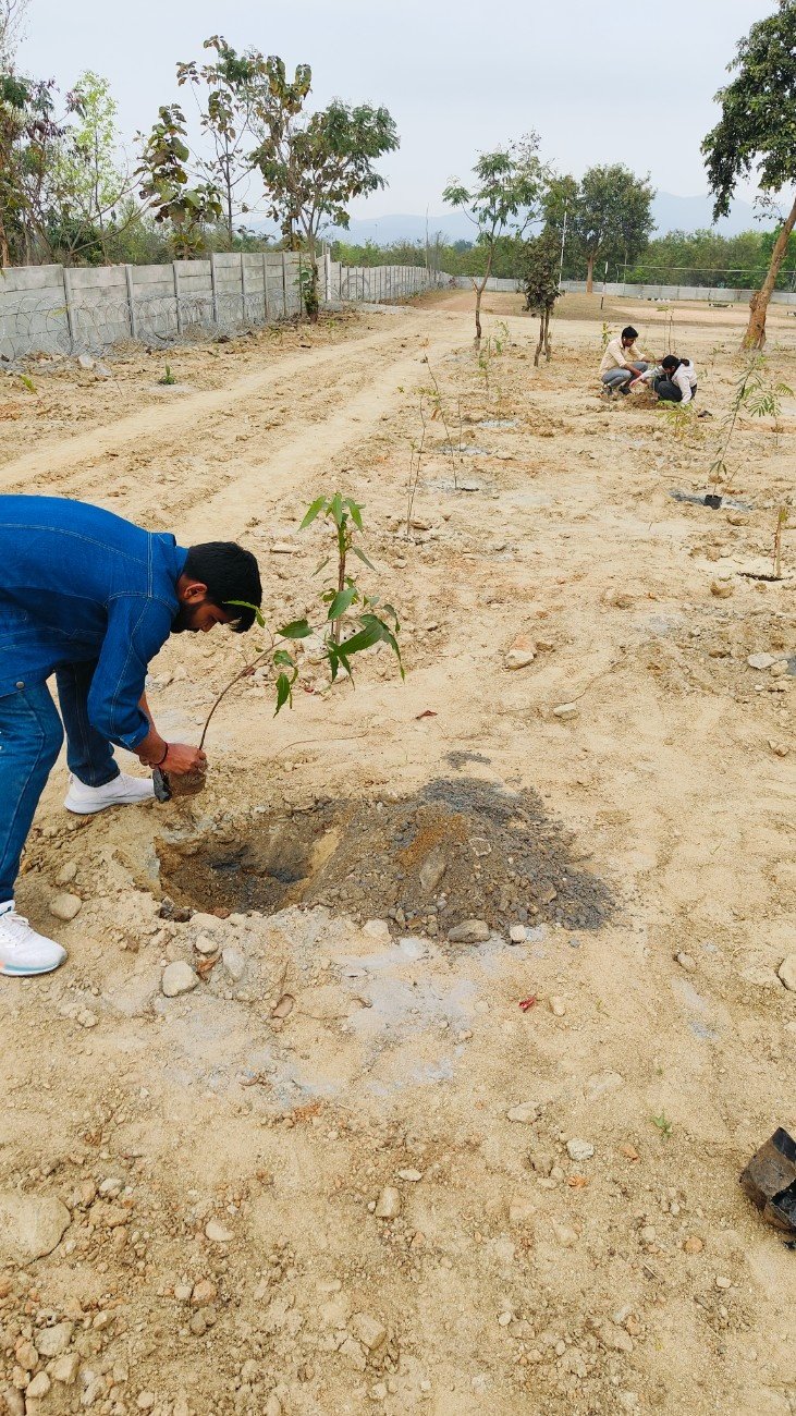 Ranchi Plantation