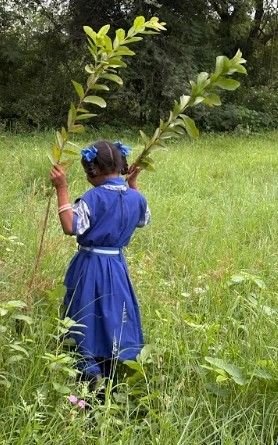 Growing a Greener Future – Dewas