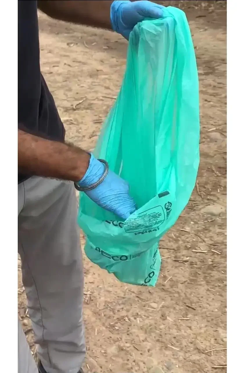 Cleaning Sukhna Lake