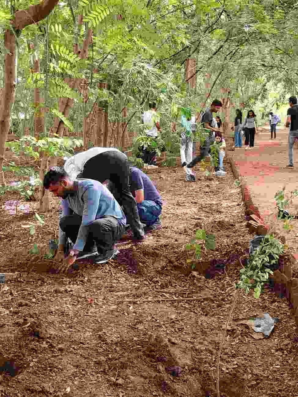 Operation Green Cover
