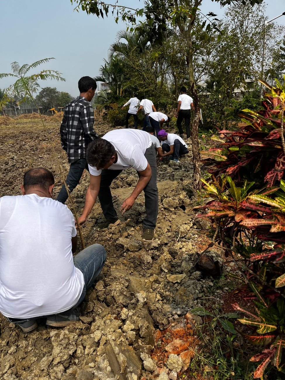 Plantation in Kolkata
