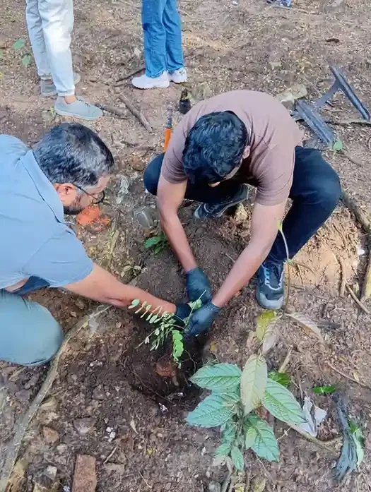 Plantation in Kochi