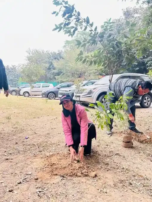Mega Plantation Drive - Zirakpur