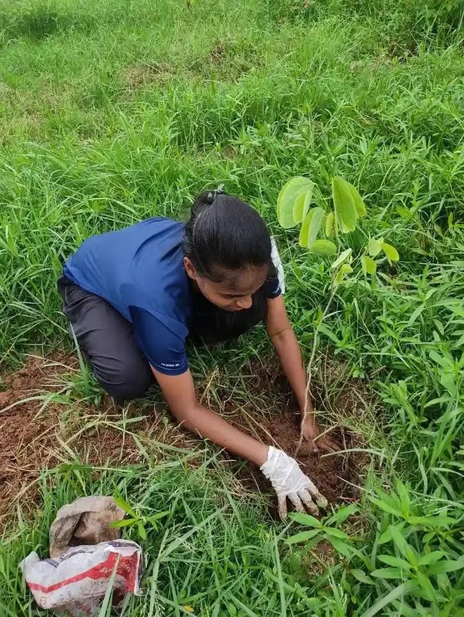 Plantation in Ranchi
